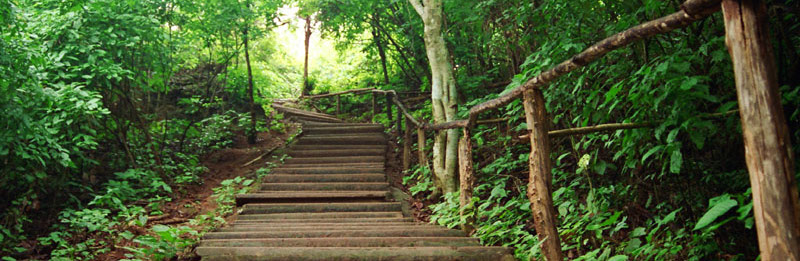 Picture of Steps To Sobriety